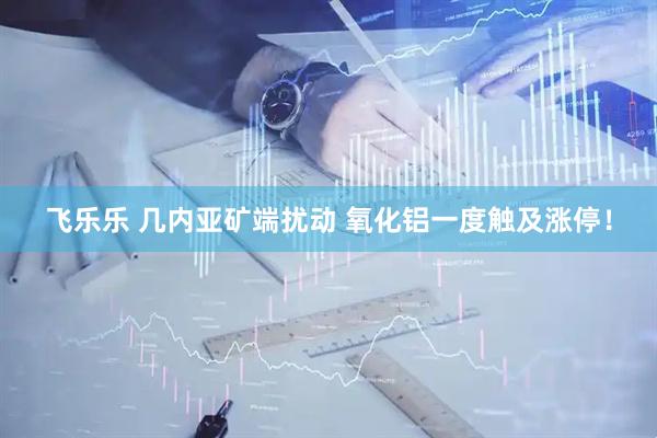 飞乐乐 几内亚矿端扰动 氧化铝一度触及涨停！
