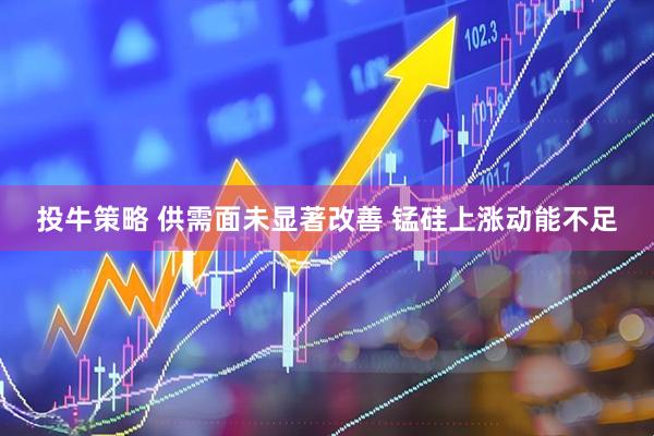 投牛策略 供需面未显著改善 锰硅上涨动能不足