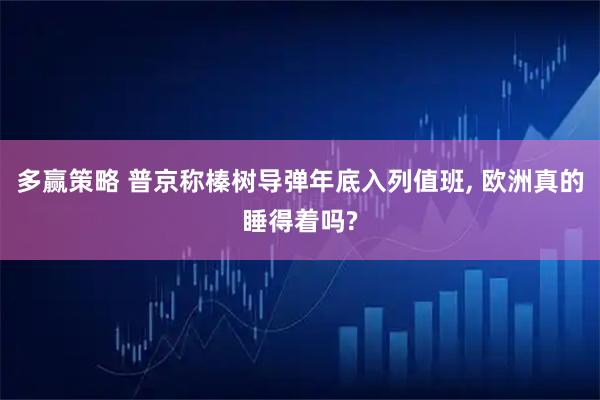 多赢策略 普京称榛树导弹年底入列值班, 欧洲真的睡得着吗?