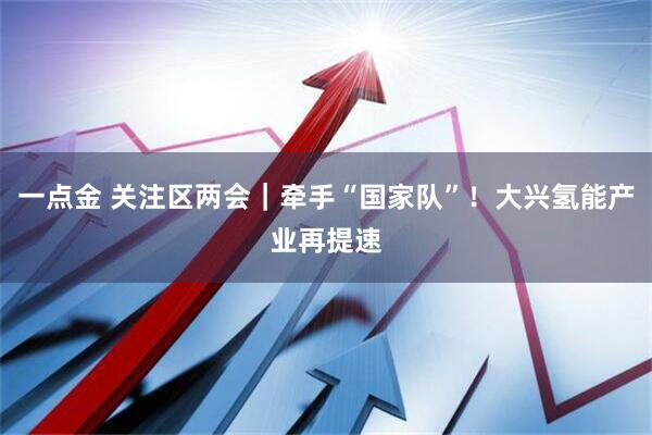 一点金 关注区两会｜牵手“国家队”！大兴氢能产业再提速