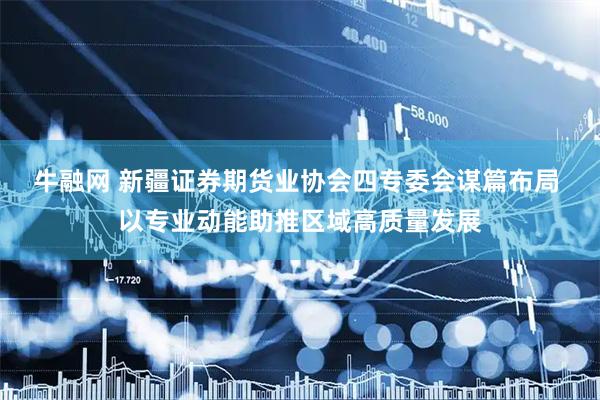 牛融网 新疆证券期货业协会四专委会谋篇布局 以专业动能助推区域高质量发展