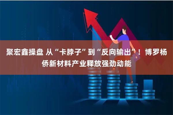 聚宏鑫操盘 从“卡脖子”到“反向输出”！博罗杨侨新材料产业释放强劲动能